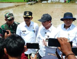 Wabup Indramayu Laksanakan Percepatan Tanam Padi di Lahan Tadah Hujan 11 Ribu Hektar