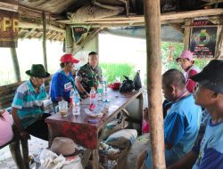 Babinsa Koramil 1608 Karangampel Indramayu Komsos Dengan Poktan dan Petani Tentang Sergap di Desa Kedokanbunder Wetan