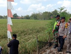 Lestarikan Adat, Pemdes Waru Menggelar Adat Desa Mapag Sri, Babinsa 1603 Lohbener Indramayu Lakukan Pengamanan 