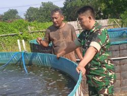 Tingkatkan Produktivitas Ketahanan Pangan, Babinsa Koramil 1602 Sindang Indramayu Lakukan Kunjungan Petani Tambak