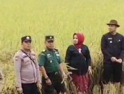 Karnaval Perdana, Pemdes Panyingkiran Kidul Indramayu Laksanakan Tradisi Kirab Budaya ” Mapag Sri “