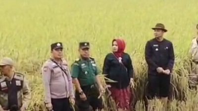 Karnaval Perdana, Pemdes Panyingkiran Kidul Indramayu Laksanakan Tradisi Kirab Budaya ” Mapag Sri “