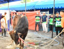 Peringati Hari Raya Idul Adha 1446 H/2025 PT KPI RU VI Balongan Salurkan 104 Ekor Hewan Qurban Untuk Masyarakat Hingga Stakeholder