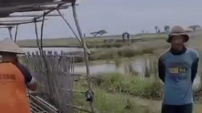 Petani Singakerta Indramayu Geram Ketua Poktan di Minta Mundur,Berikut Ulasannya