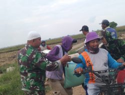 Babinsa Koramil 1603 Lohbener Indramayu Melakukan Pendampingan Pertanian di Desa Sukadadi