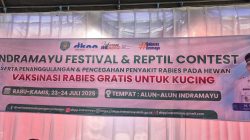 Vaksinasi Rabies Gratis untuk Kucing Warnai Indramayu Festival & Reptil Contest