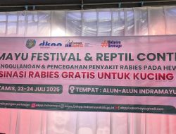 Vaksinasi Rabies Gratis untuk Kucing Warnai Indramayu Festival & Reptil Contest