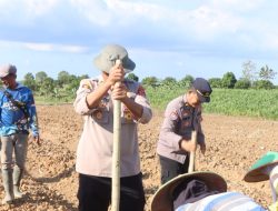 Polres Indramayu Tanam Jagung Tahap Tiga di LBS Desa Cikawung Trisi