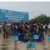 Cintai Alam dan Lingkungan Hidup,BNI dan Yayasan Madani Tanam Pohon Cemara di Pantai Tiris Indramayu