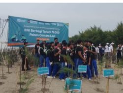 Cintai Alam dan Lingkungan Hidup,BNI dan Yayasan Madani Tanam Pohon Cemara di Pantai Tiris Indramayu