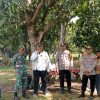 Pemdes Kongsijaya Bersama Polsek Widasari Melakukan Penanaman Jagung Dukung Program Ketahanan Pangan