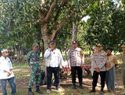 Pemdes Kongsijaya Bersama Polsek Widasari Melakukan Penanaman Jagung Dukung Program Ketahanan Pangan