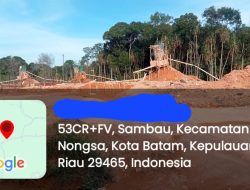 Rusak Nya Hutan Mangrove Akibat Galian C Di Bukit tengkorak kelurahan Sambau Kecamatan Nongsa Kota Batam, Teryata Kebal Hukum