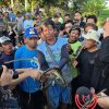 Bupati Lucky Hakim :Targetkan 10 Ribu Ular, Strategi Indramayu Perangi Tikus Demi Panen Petani