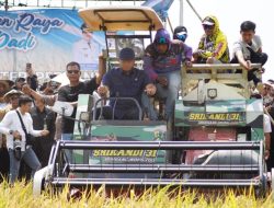 Event Panen Raya Desa Karangmulya, Wamen Pertanian RI Puji Ketangguhan Petani Indramayu
