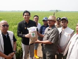 Kurangi Ketergantungan Pada Pupuk Kimia, Bupati Lucky Hakim Imbau Petani Gunakan Pupuk Organik
