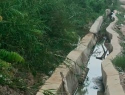 Baru Sebulan, Proyek Drainase di Sematang Borang Menjelma Menjadi ‘Anaconda’