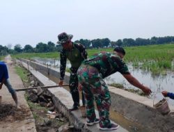 Satgas TMMD ke-126 Kodim 0616/Indramayu Laksanakan Finishing Pembangunan TPT di Desa Longok