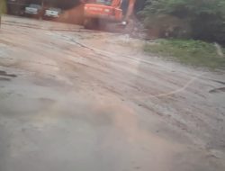 Skandal Tambang Timah Babel: Diduga big Bos Popo’ di Balik Layar?Satgas PKH dan Kejati Babel Didorong Usut Tuntas 