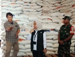 Koramil 1611 Losarang Monitoring Beras SPHP di Gudang Bulog Desa Muntur Kecamatan Losarang 