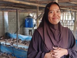 Aan Haryati Jurnalis Indramayu Sukses kembangkan Usaha Bebek Petelur.Berikut Ulasannya