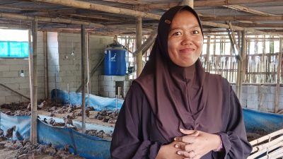 Aan Haryati Jurnalis Indramayu Sukses kembangkan Usaha Bebek Petelur.Berikut Ulasannya