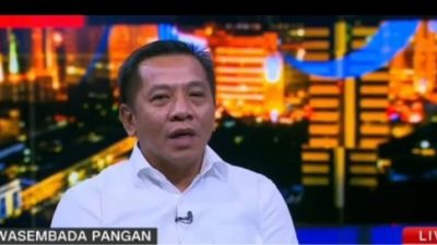 Karawang Jadi Lumbung Pangan Nasional yang Kokoh, Dukung Swasembada Beras Indonesia