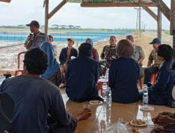 Wujudkan Swasembada Pangan, Koramil 1608 Karangampel Laksanakan Pendampingan Pertanian