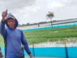 Personel Koramil 1603/Lohbener Laksanakan Pendampingan Pertanian di Desa Larangan