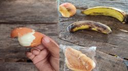 Miris! Menu MBG Tak Layak Konsumsi Beredar di Sekolah, SPPG Banyukapah Didesak Dievaluasi Total