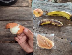 Miris! Menu MBG Tak Layak Konsumsi Beredar di Sekolah, SPPG Banyukapah Didesak Dievaluasi Total