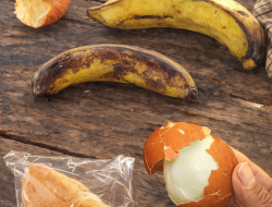 Miris! Menu MBG Tak Layak Konsumsi Beredar di Sekolah, SPPG Banyukapah Didesak Dievaluasi Total