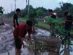 Jalan Kabupaten Gadingan–Sudikampiran Rusak Parah, Warga Tagih Janji PUPR dan Tanam Pohon di Tengah Jalan