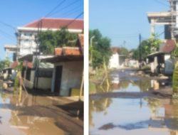 Jalan Rusak Parah di Telukagung Viral, Warga Tanam Pohon Pisang sebagai Tanda Bahaya