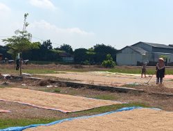 Masyarakat dan Petani Desa Sambimaya Apresiasi Kuwu H. Turyadi atas Pembangunan Lapangan Bola Multifungsi