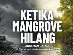 POLISI ANCAM PIDANA MILIARAN BAGI PERUSAK MANGROVE. LALU APAKABAR BATAM?   