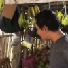 Dugaan Pungli PKL di Karangampel Disorot, Pedagang Dipungut Meski Jualan di Luar Area Pasar