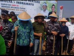 Hashim Djojohadikusumo Pimpin Penanaman Kedelai Nasional di Indramayu, Dorong Target Swasembada Pangan 2026