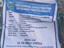 Diduga Tak Sesuai Spesifikasi, Proyek Rehabilitasi Jalan Lingkungan di Desa Dukuh Jeruk Jadi Sorotan