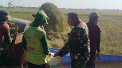 Babinsa Koramil 1610/Krangkeng Bergerak Bersama Petani Wujudkan Swasembada Pangan