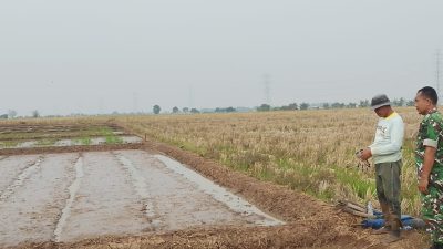 Babinsa Koramil 1605/Sukagumiwang Monitoring dan Dampingi Petani Percepat Olah Lahan di Desa Gunungsari