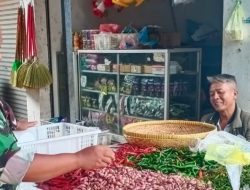Babinsa Koramil 1605 Sukagumiwang Monitoring Sekaligus Pendataan Harga Bahan Pokok di Wilayah Binaan
