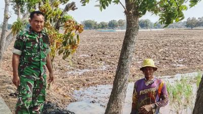 Babinsa Koramil 1605 Sukagumiwang Monitoring dan Dampingi Petani Olah Lahan di Desa Gunungsari
