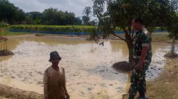 Babinsa Koramil 1605 Sukagumiwang Monitoring dan Dampingi Petani Persiapkan Musim Tanam Padi di Desa Jambe