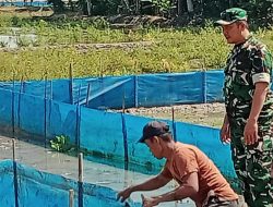 Babinsa Koramil 1605/Sukagumiwang Laksanakan Monitoring dan Pendampingan Pertanian di Desa Sukawera