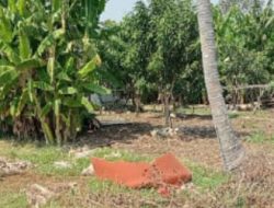 Danramil 1603/Lohbener Laksanakan Pengecekan Lahan untuk KDKMP di Desa Tawang Sari