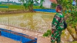 Babinsa Koramil 1605 Sukagumiwang Intensif Dampingi Petani Desa Bondan, Pastikan Persiapan Musim Tanam Berjalan Optimal