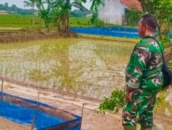 Babinsa Koramil 1605 Sukagumiwang Intensif Dampingi Petani Desa Bondan, Pastikan Persiapan Musim Tanam Berjalan Optimal