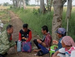 Koramil Indramayu Komsos Bersama Petani Desa Sukareja, Dorong Kemajuan Pertanian