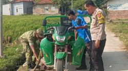 Babinsa Lohbener Bersama Pemdes dan Warga Gelar Jumsih, Bersihkan Selokan Desa Pamayahan